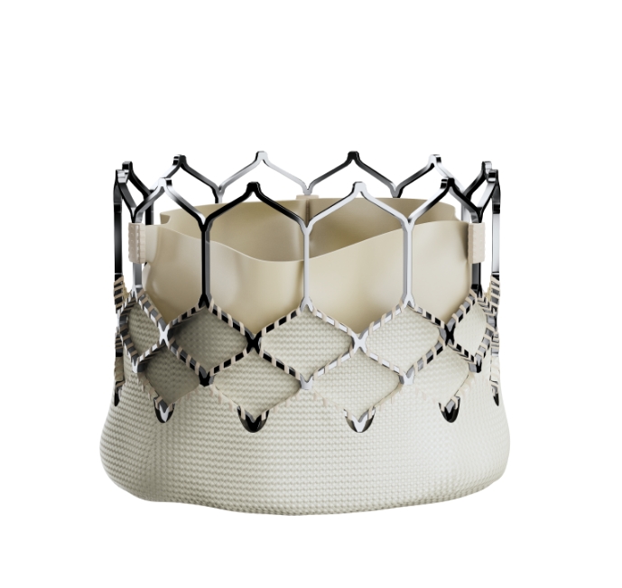 TAVI-SunValve(CE soon)